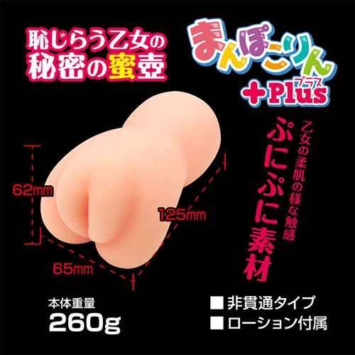 説明
