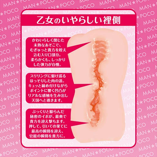 説明