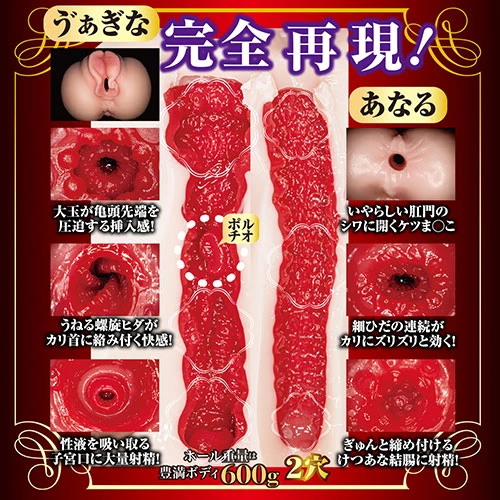 新 熟女の星 山岸逢花の秘部完全レプリカ