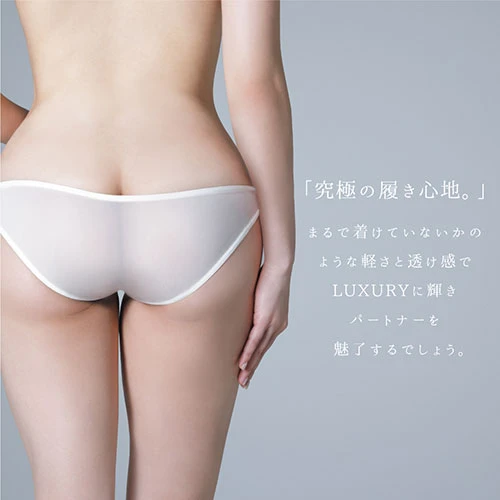 説明