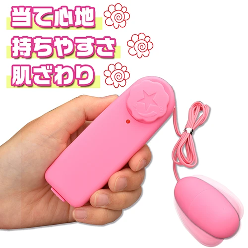 説明