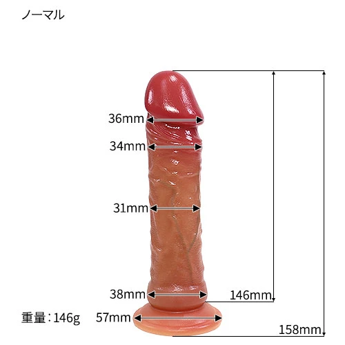 説明