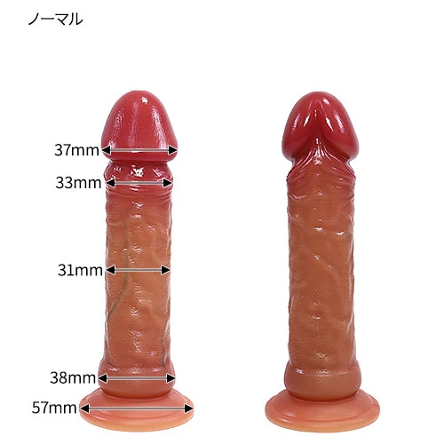 説明
