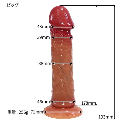 説明