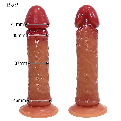 説明