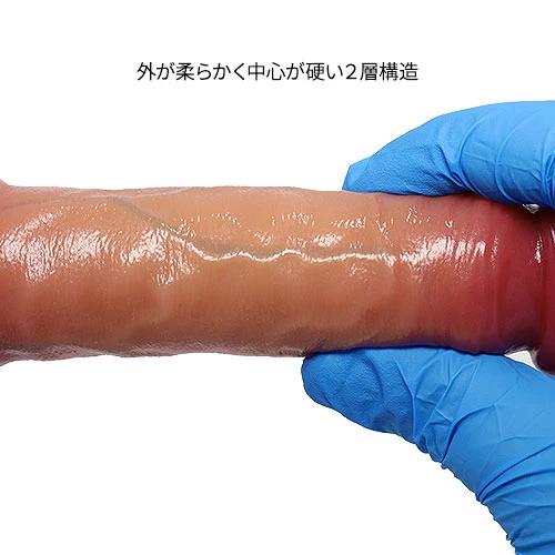 説明