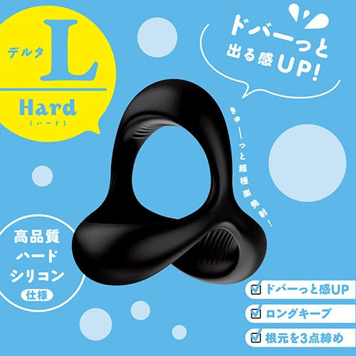 説明