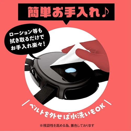 説明