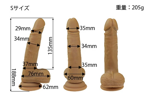 説明