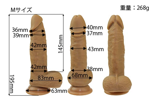 説明