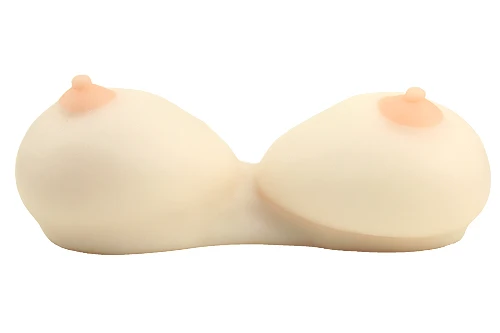 説明
