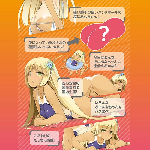 説明