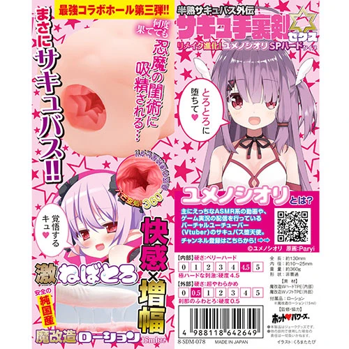 説明