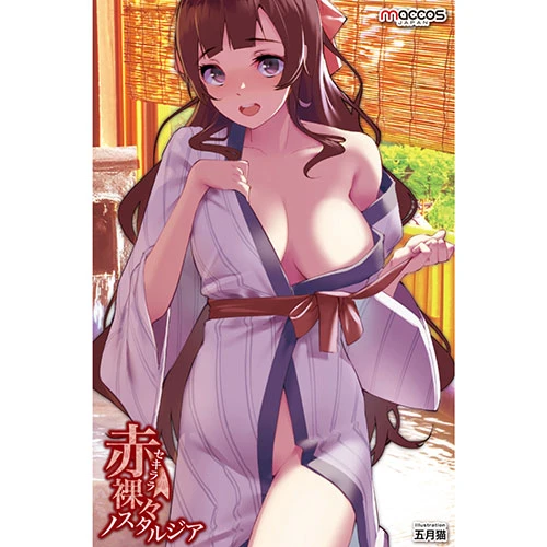 説明