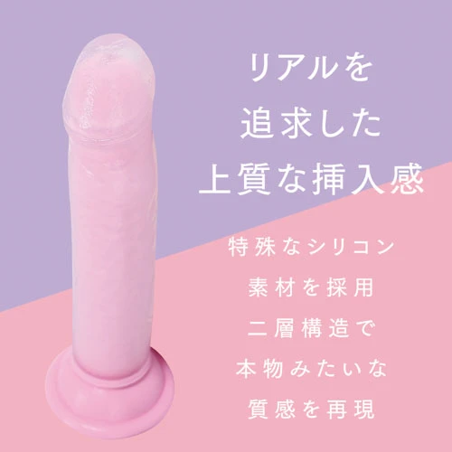 説明