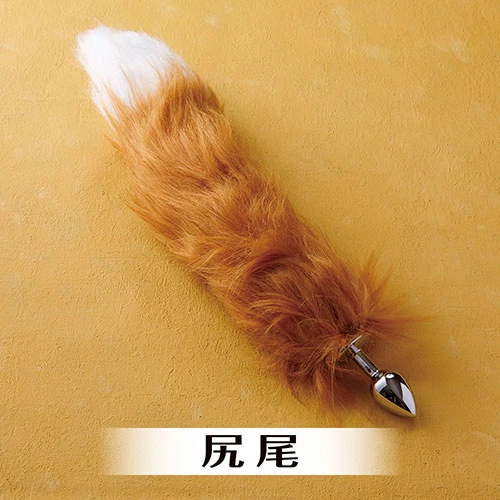 説明