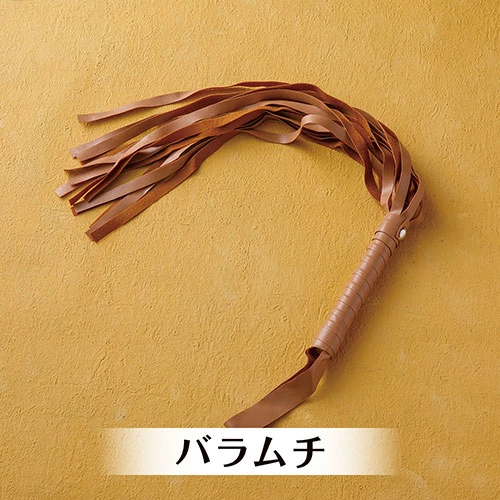 説明