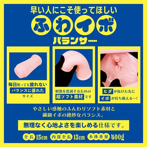 説明