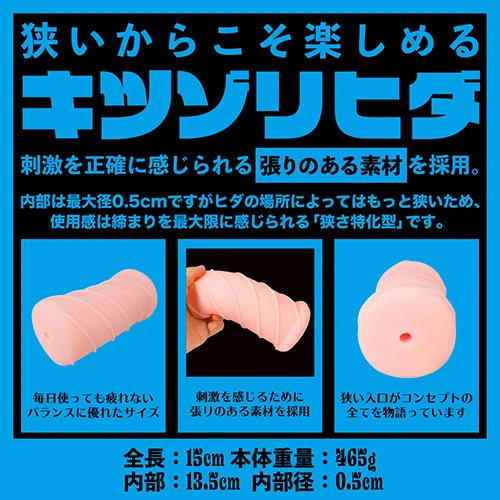 説明