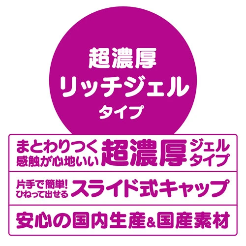 説明