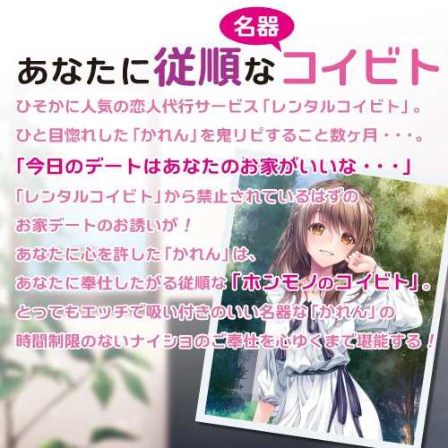 説明