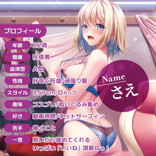 説明