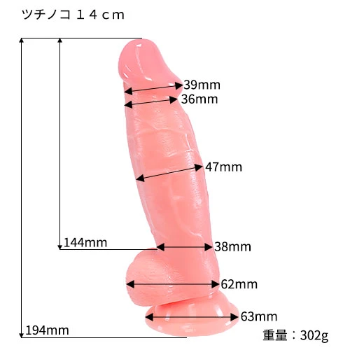 説明