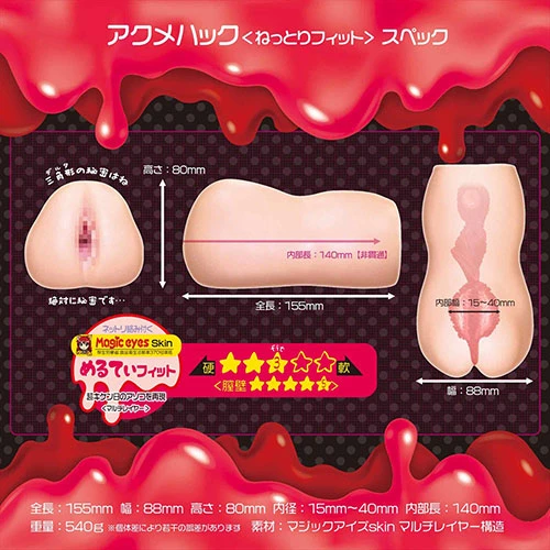 説明