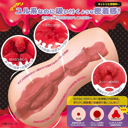 説明