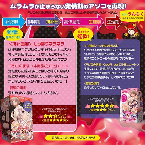 説明