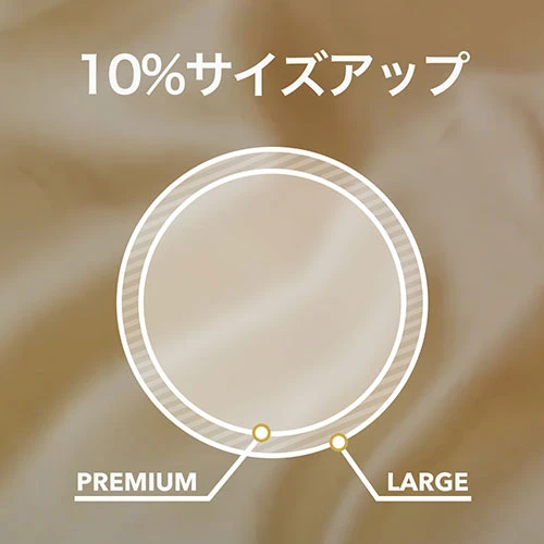 SKYN ラージ（10個入り）