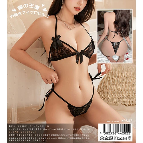 説明