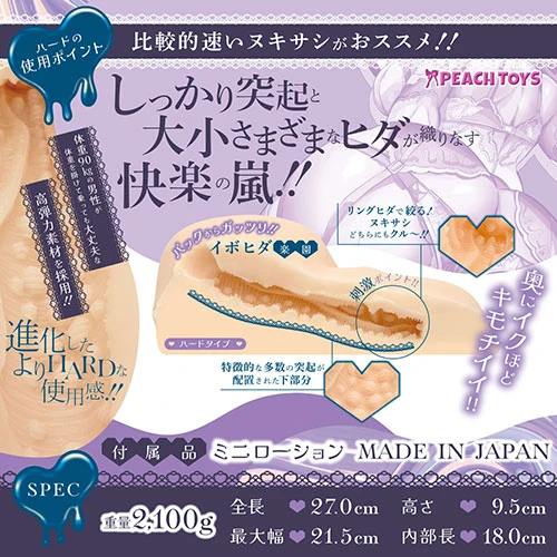 説明