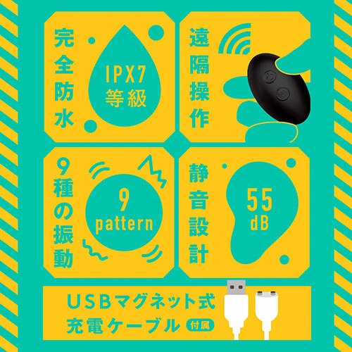 説明