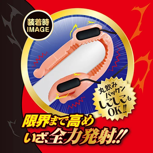 説明
