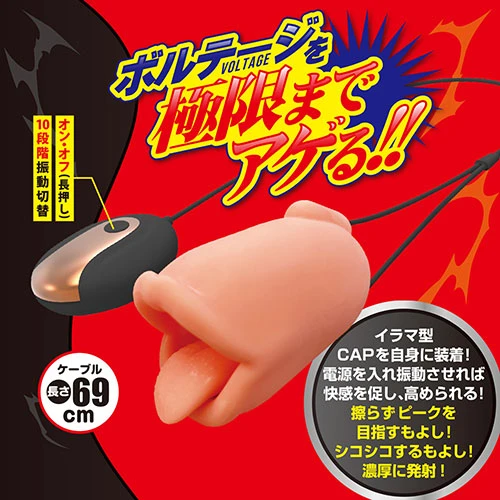 説明