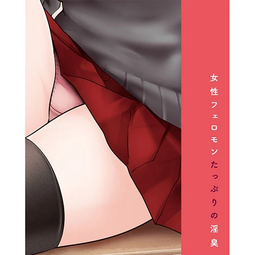 説明