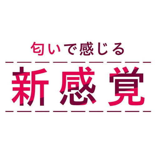 説明
