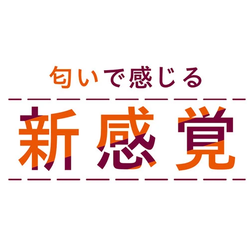 説明