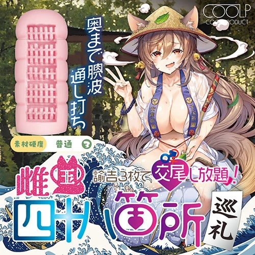 説明
