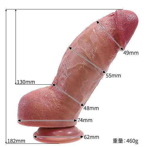 説明