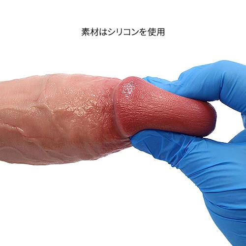 説明