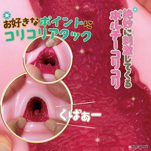 ビッグバウンズ ポルニスタ