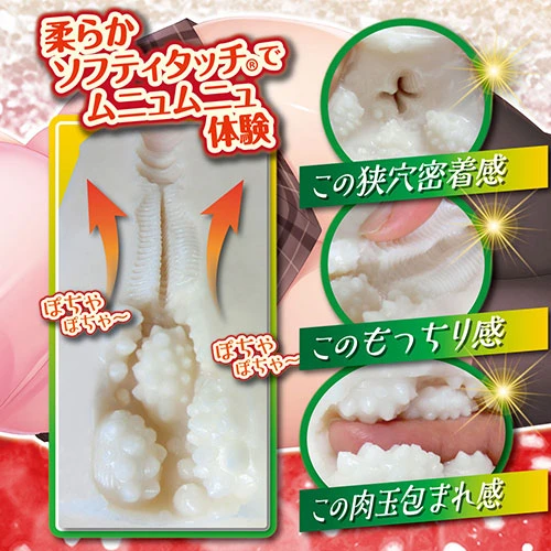 説明