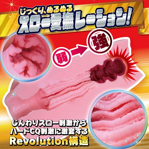 説明