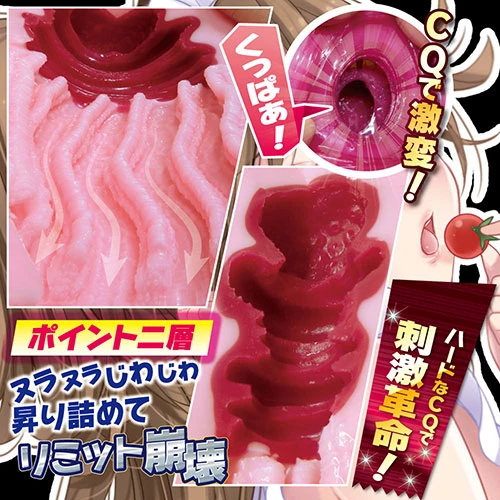 説明