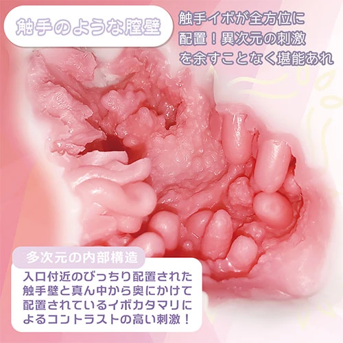 もち雪 からみしょくしゅ