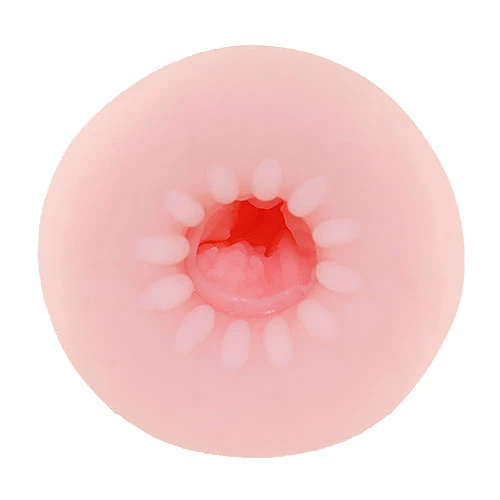 説明