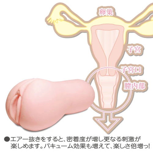 説明