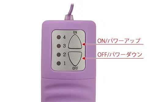インスピレーションBIG（パープル）